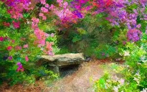 Beautiful Resting Place